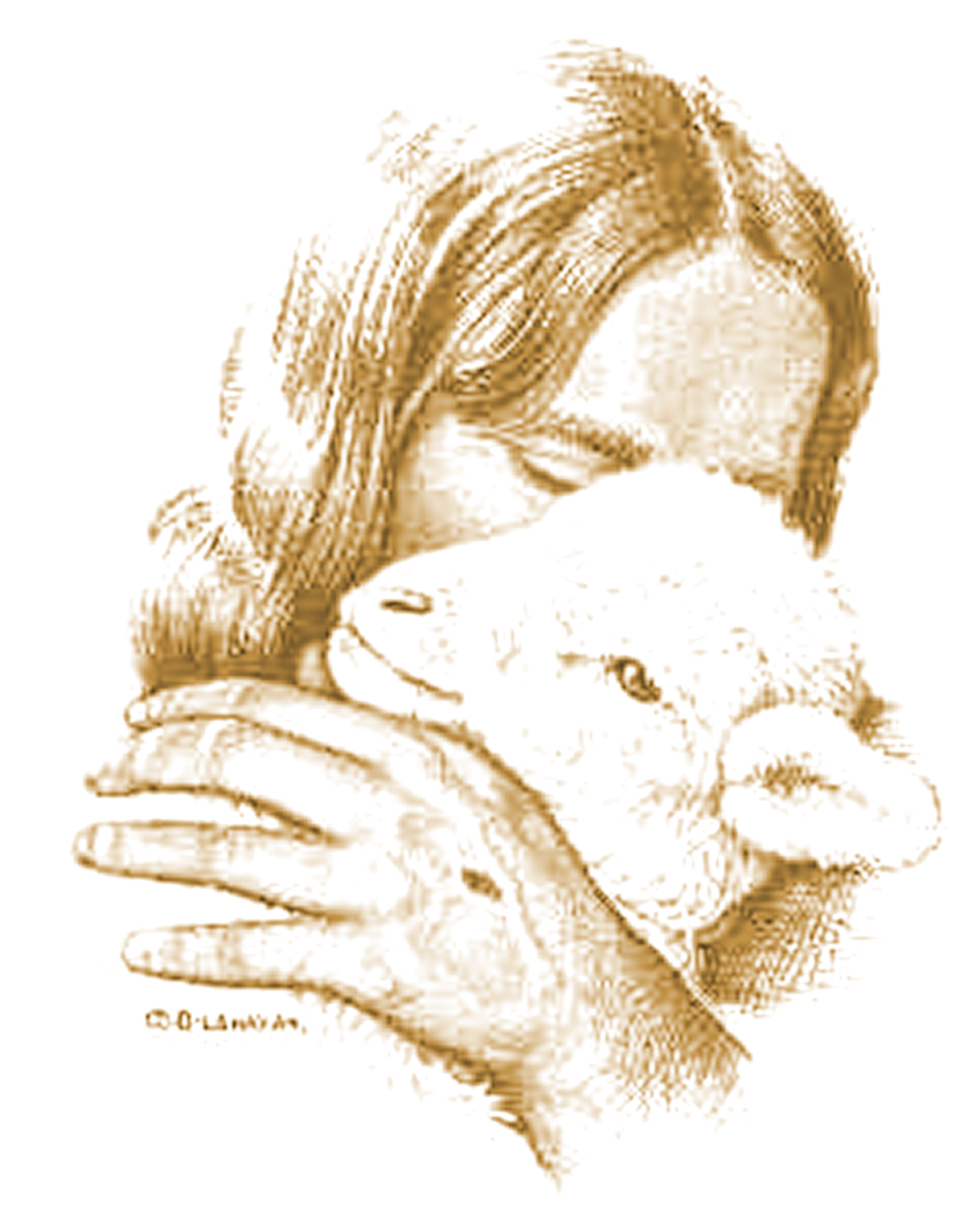 clip art jesus holding a lamb - photo #9